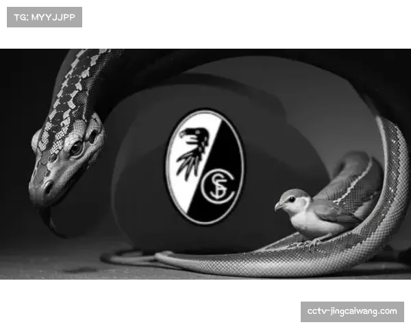 德甲引入实时AI战术分析解说，首周收视峰值较上周提升15%